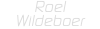Roel Wildeboer 